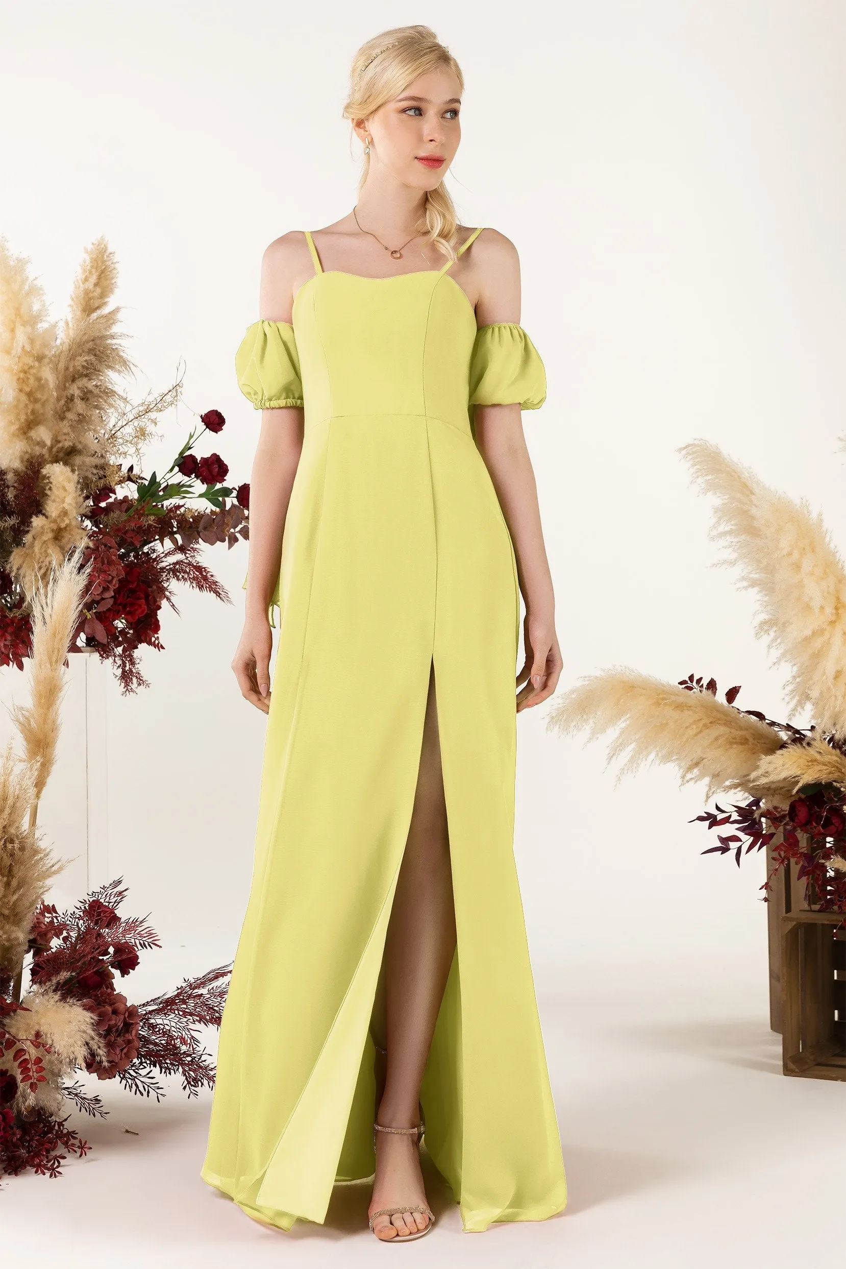 A-Line Sweep-Brush Train Chiffon Bridesmaid Dress CB0471