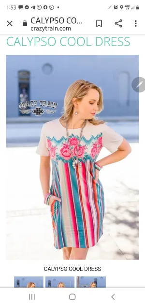 Calypso Cool Dress