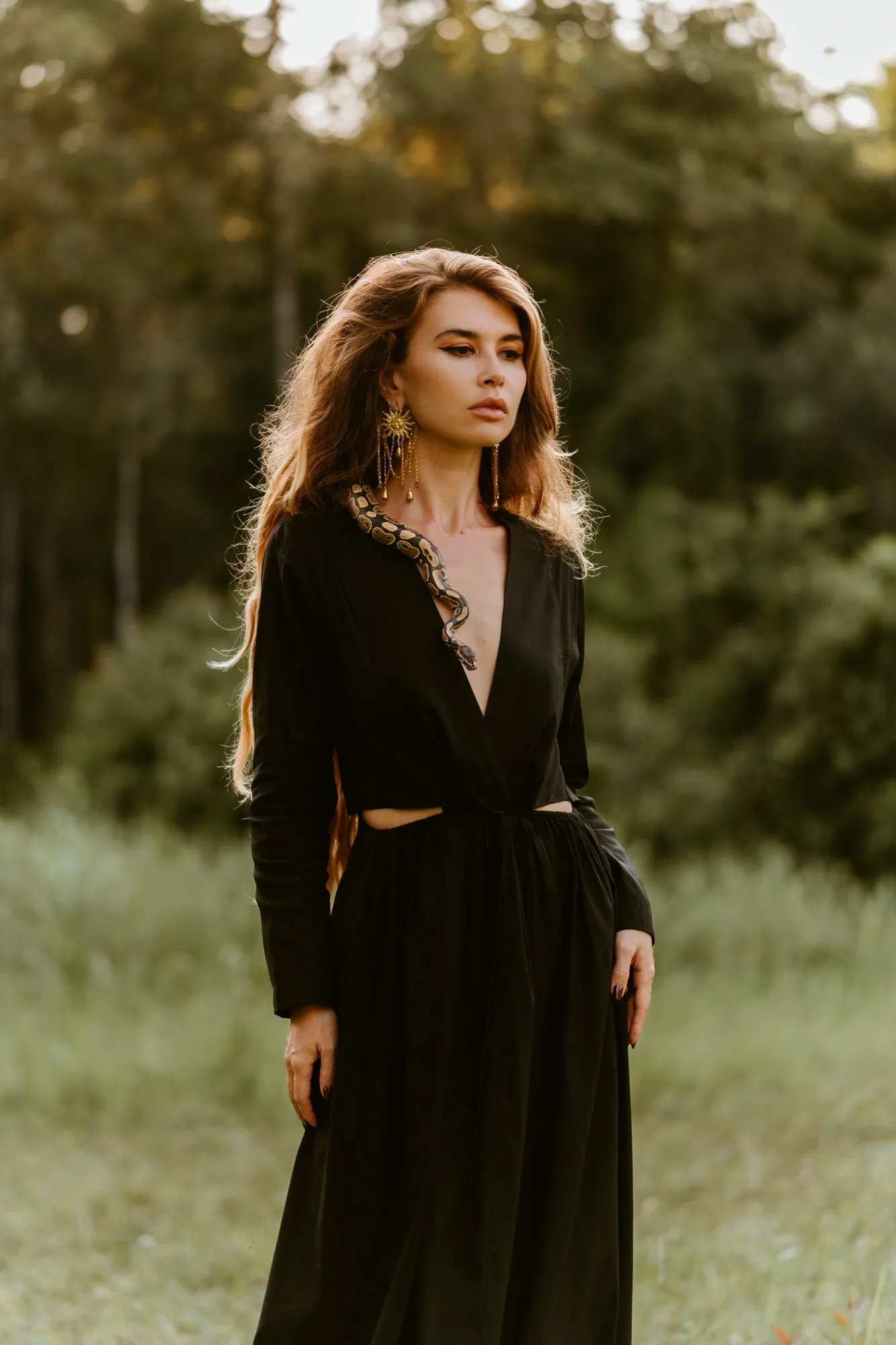 JAGGER DRESS
