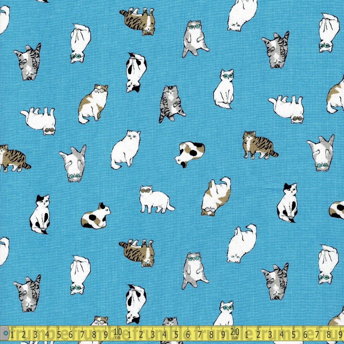 Sevenberry - Whiskers And Tails Cool Cats Blue
