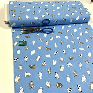 Sevenberry - Whiskers And Tails Cool Cats Blue