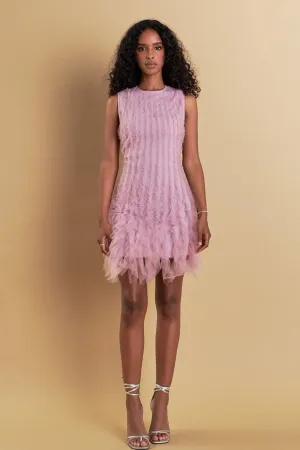 Tulle Ruffled Mini Dress